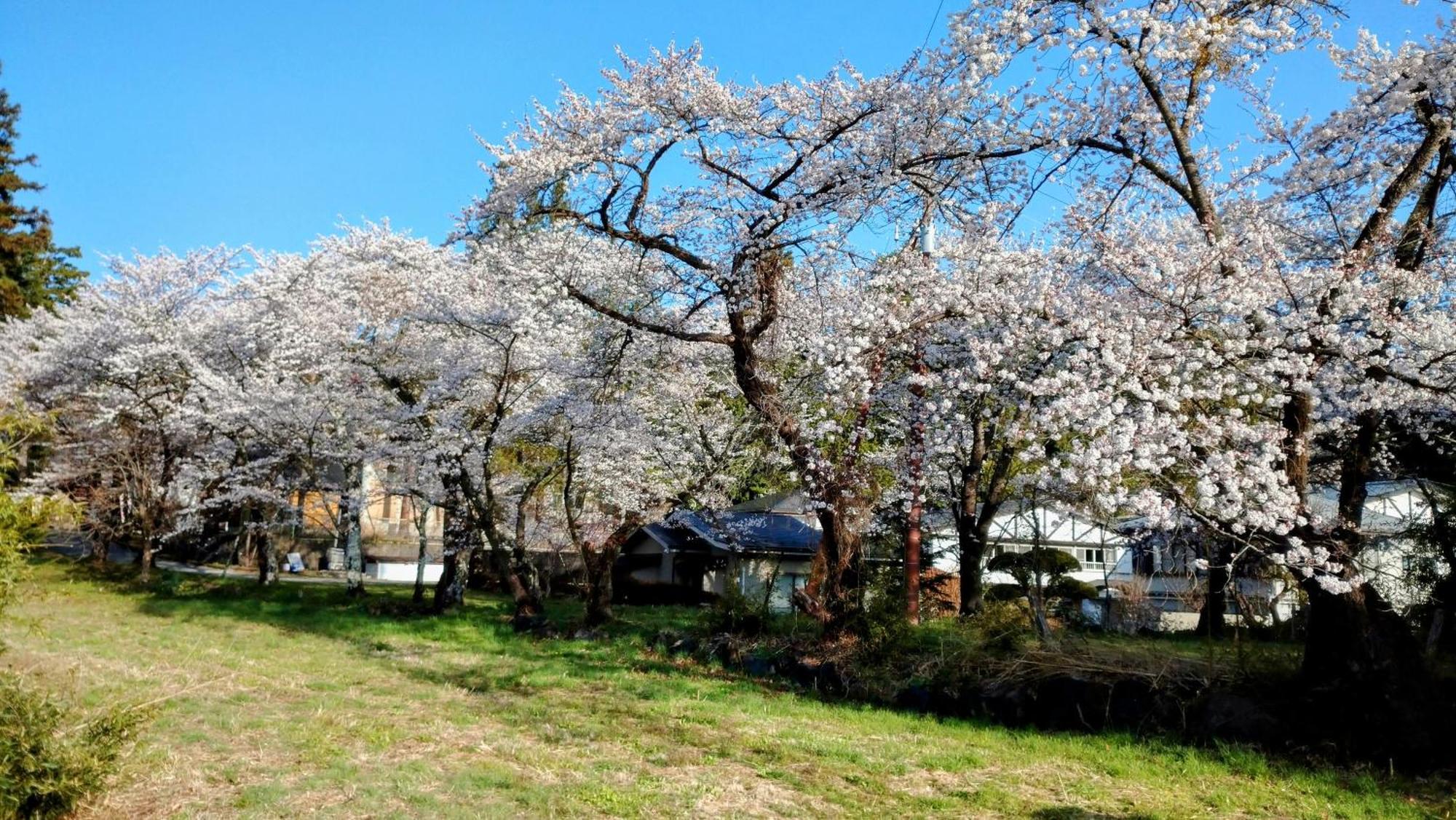 Nishimiyasou Hotel Fujikawaguchiko Exterior foto