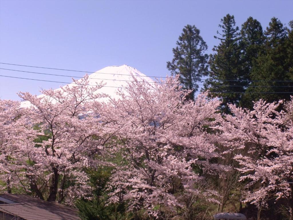 Nishimiyasou Hotel Fujikawaguchiko Exterior foto